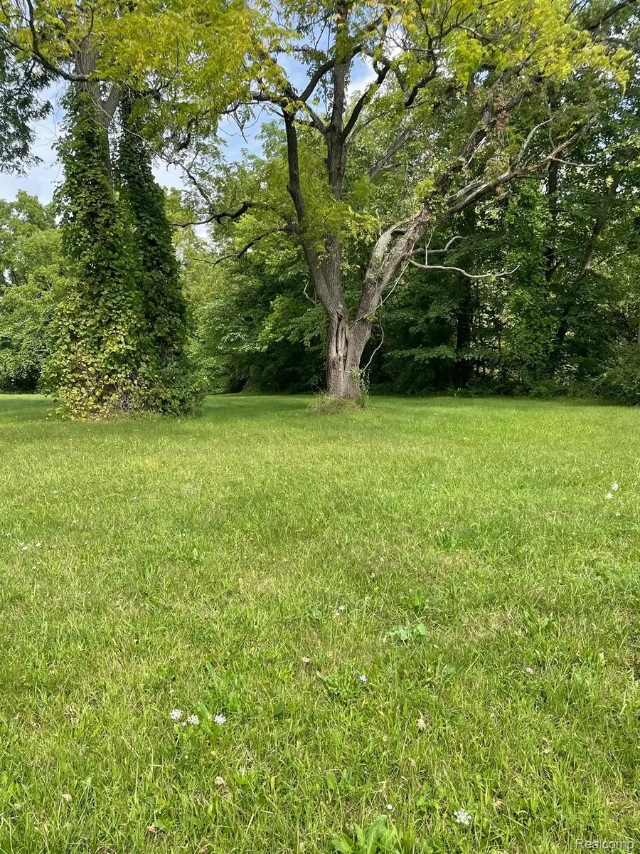 00000 SAVAGE RD, Belleville, MI 48111 - Image #3