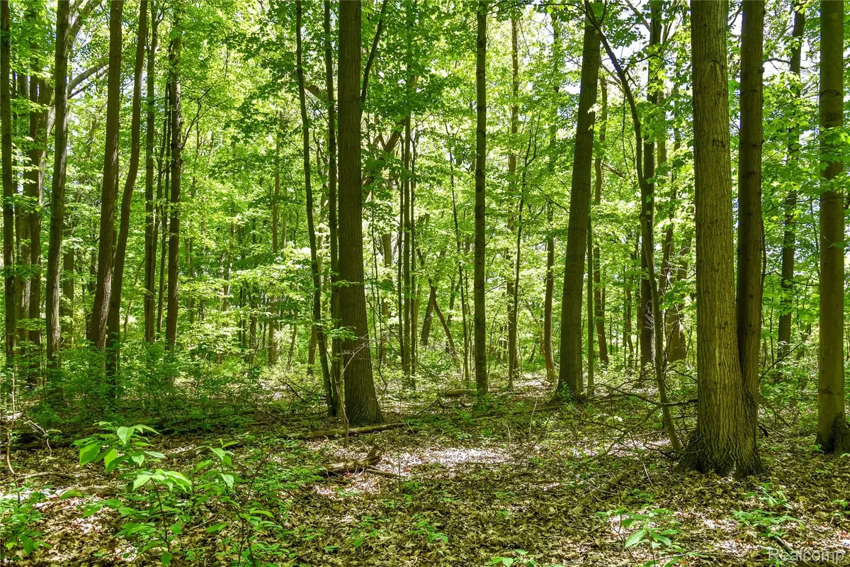 2905 N Lake Pleasant Road, Attica, MI 48412 - Image #1