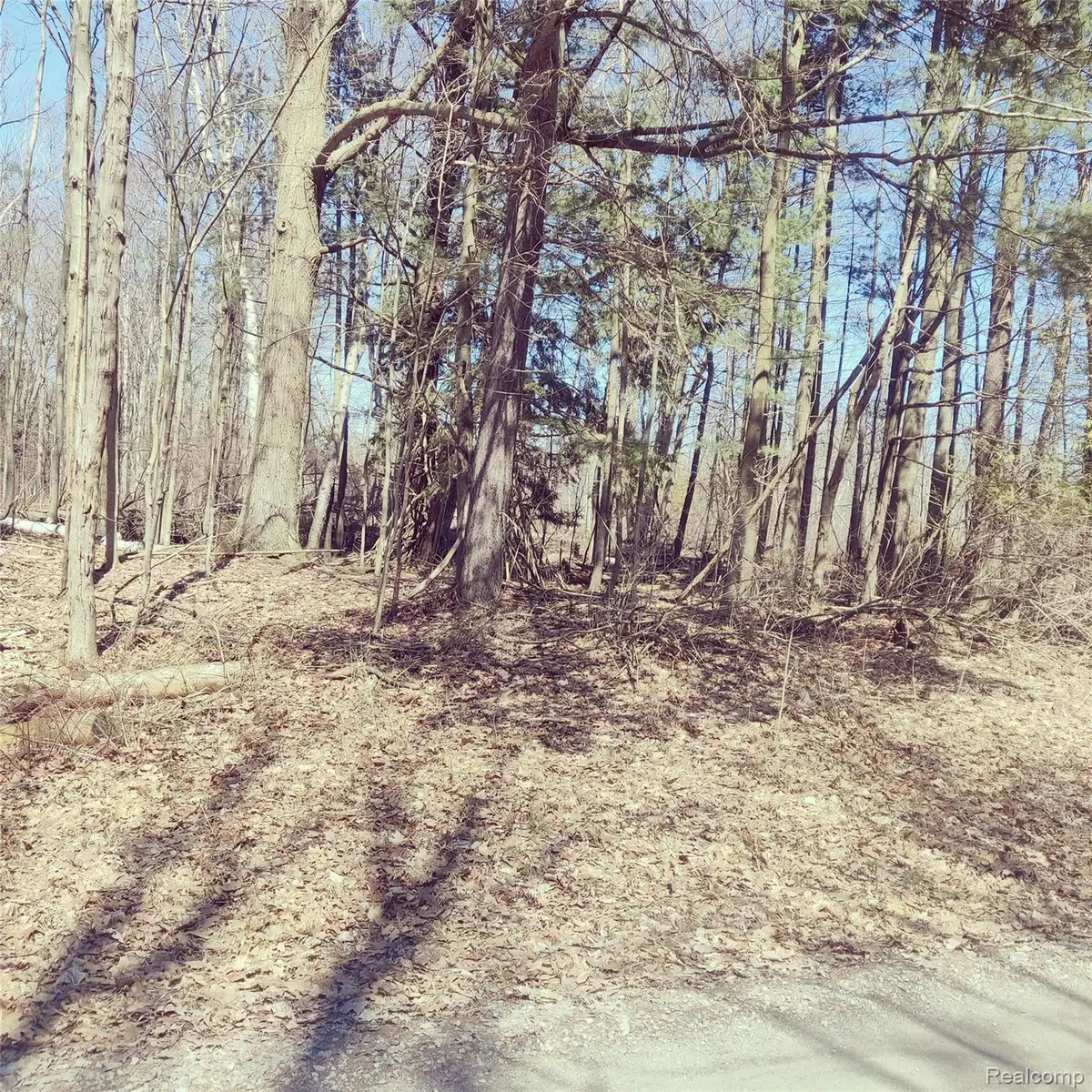 0 Schott Road, Sand Beach Township, MI 48441 - Image #1