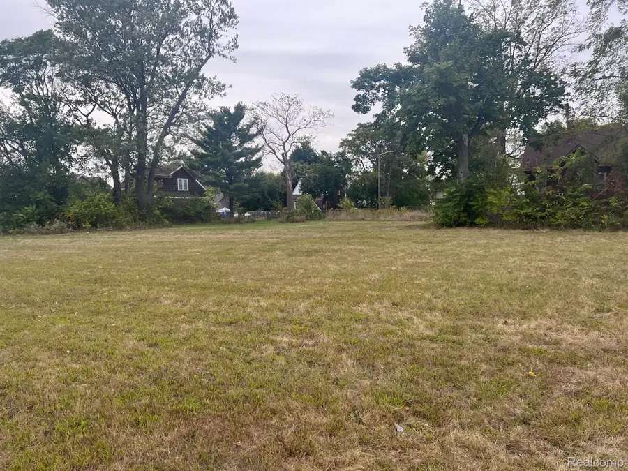 10372 W Chicago, Detroit, MI 48204 - Image #2