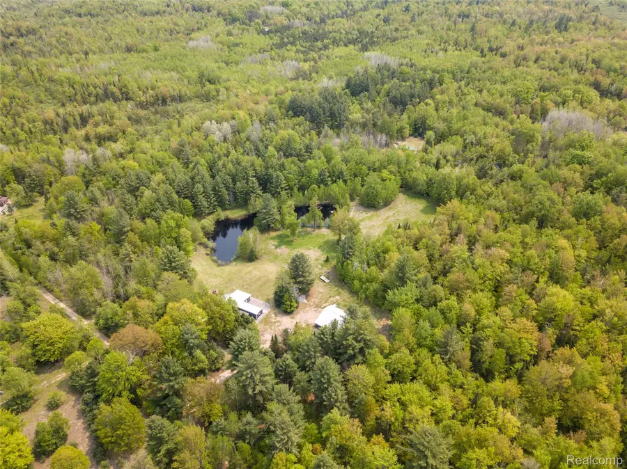 5960 N Trail Se, Kalkaska, MI 49646 - Image #3