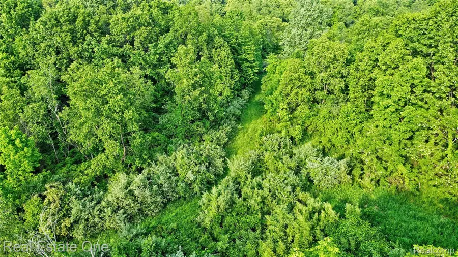 00 Dixie Hwy Highway, Davisburg, MI 48350 - Image #3