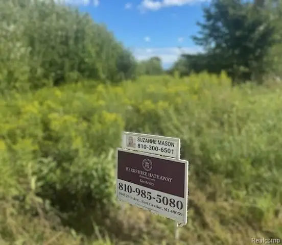 0001 Duquette Road, Peck, MI 48466 - Image #3