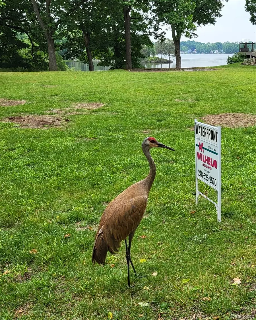 00 Blain Island, Waterford, MI 48329 - #3
