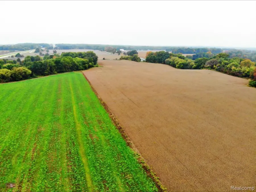 VACANT W Michigan Avenue, Albion, MI 49224 - Image #3