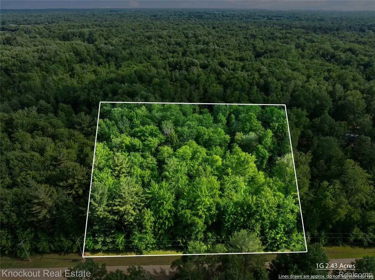 #0015 V/l Birch Lane, Vassar, MI 48768 - Image #1