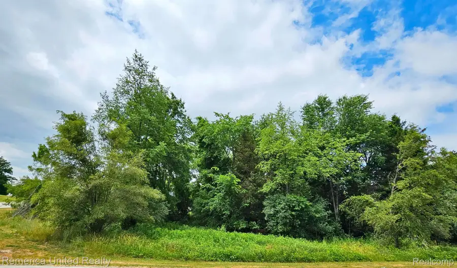 10536 Oak Shore Drive, Green Oak, MI 48178 - Image #2