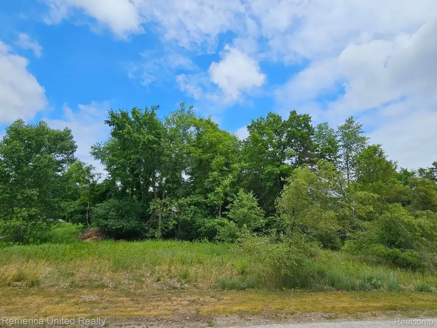 10536 Oak Shore Drive, Green Oak, MI 48178 - Image #3