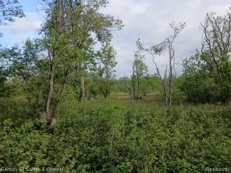 0000 Finnegan Rd,, Charlton, MI 49751 - Image #1