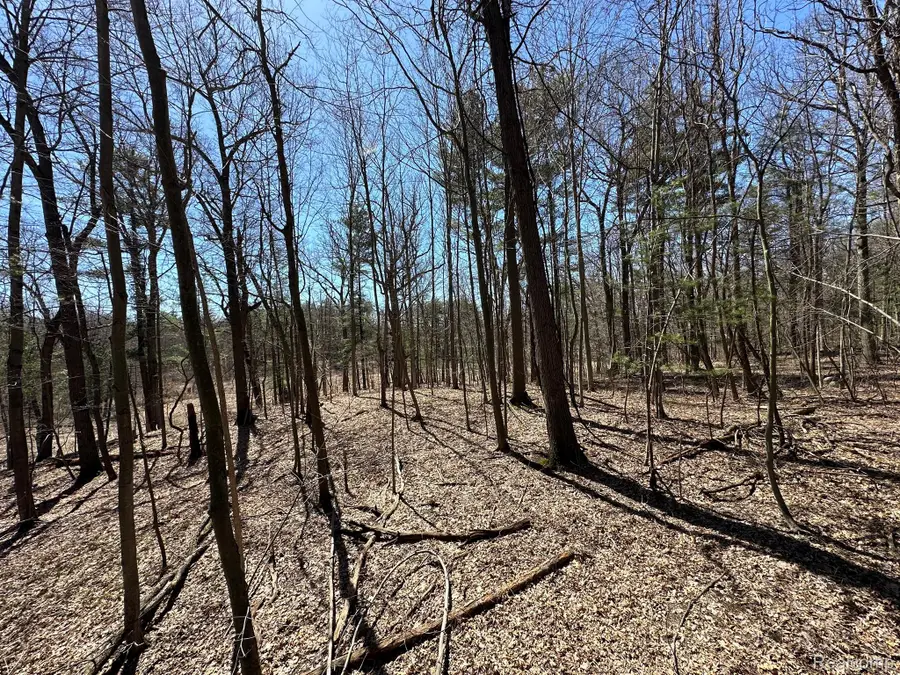 2.05 Acres VL - Knights Bridge Road, Leonard, MI 48367 - Image #2