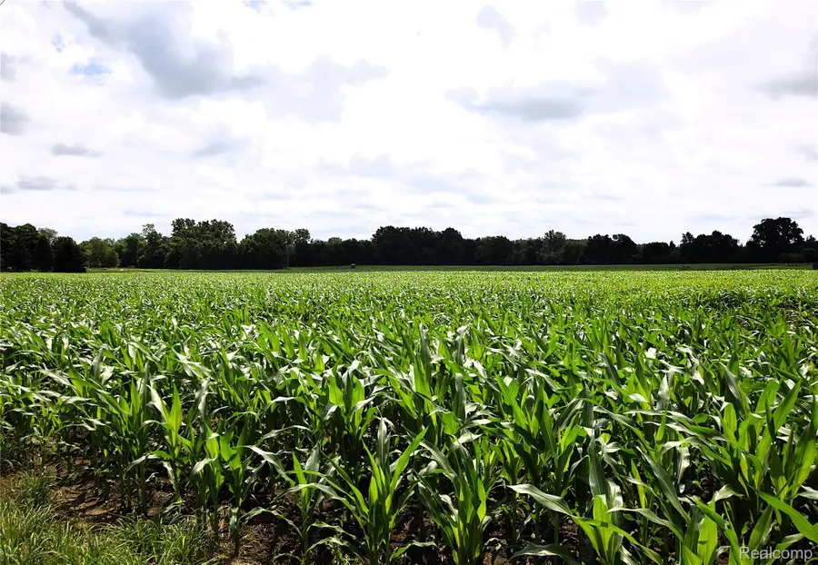 V/L N Irish Road, Otisville, MI 48463 - Image #2