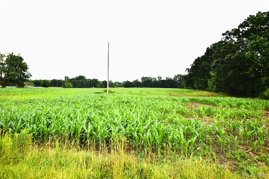 V/L N Irish Road, Otisville, MI 48463 - Image #3