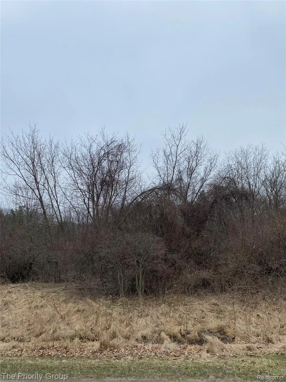 160 Great Pines Drive, Oxford, MI 48371 - Image #1