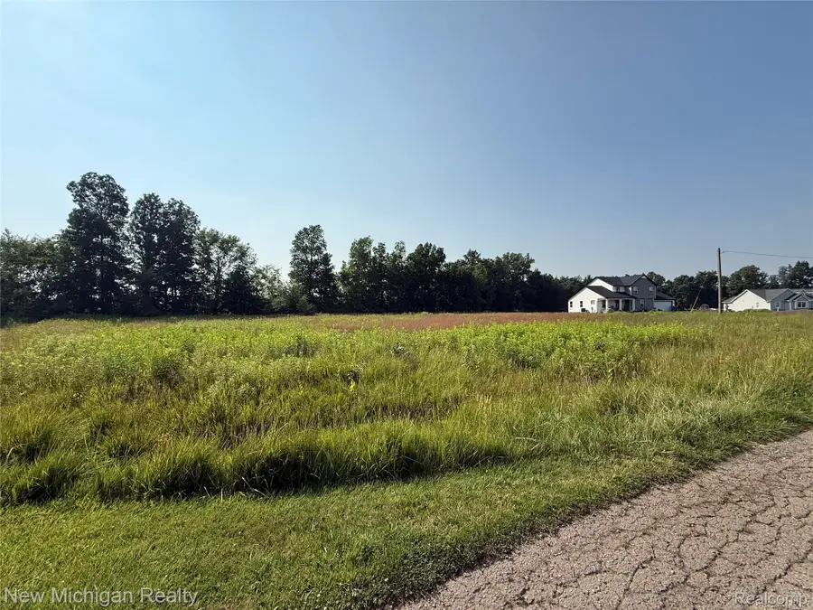 9807 Oak Ridge Road, Hazelton, MI 48460 - Image #3