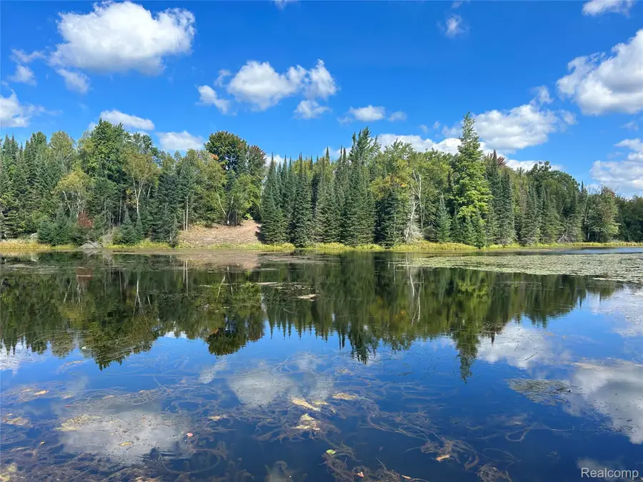 4178 E North Rose Circle, Lupton, MI 48635 - Image #3