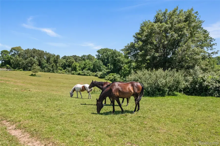 5280 Hosner Road, Oxford, MI 48370 - Image #3