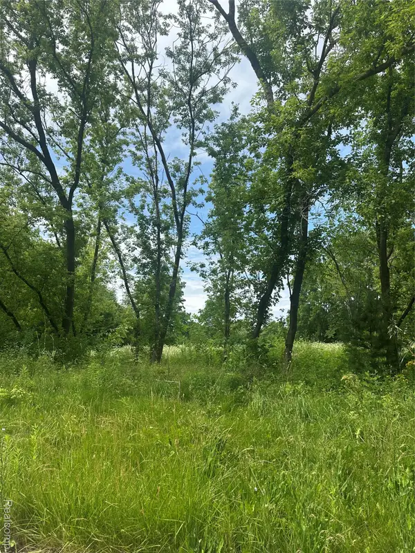 VL Lakeview Park Drive, Fenton, MI 48430