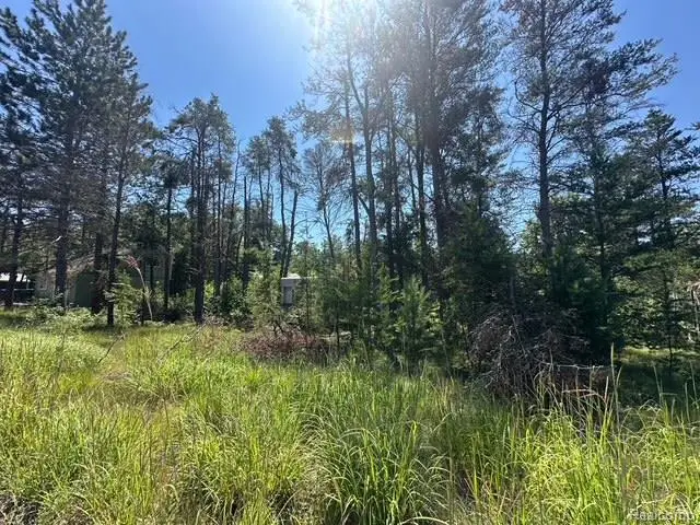 1024 Pine Ridge Street, Mio, MI 48647 - Image #2