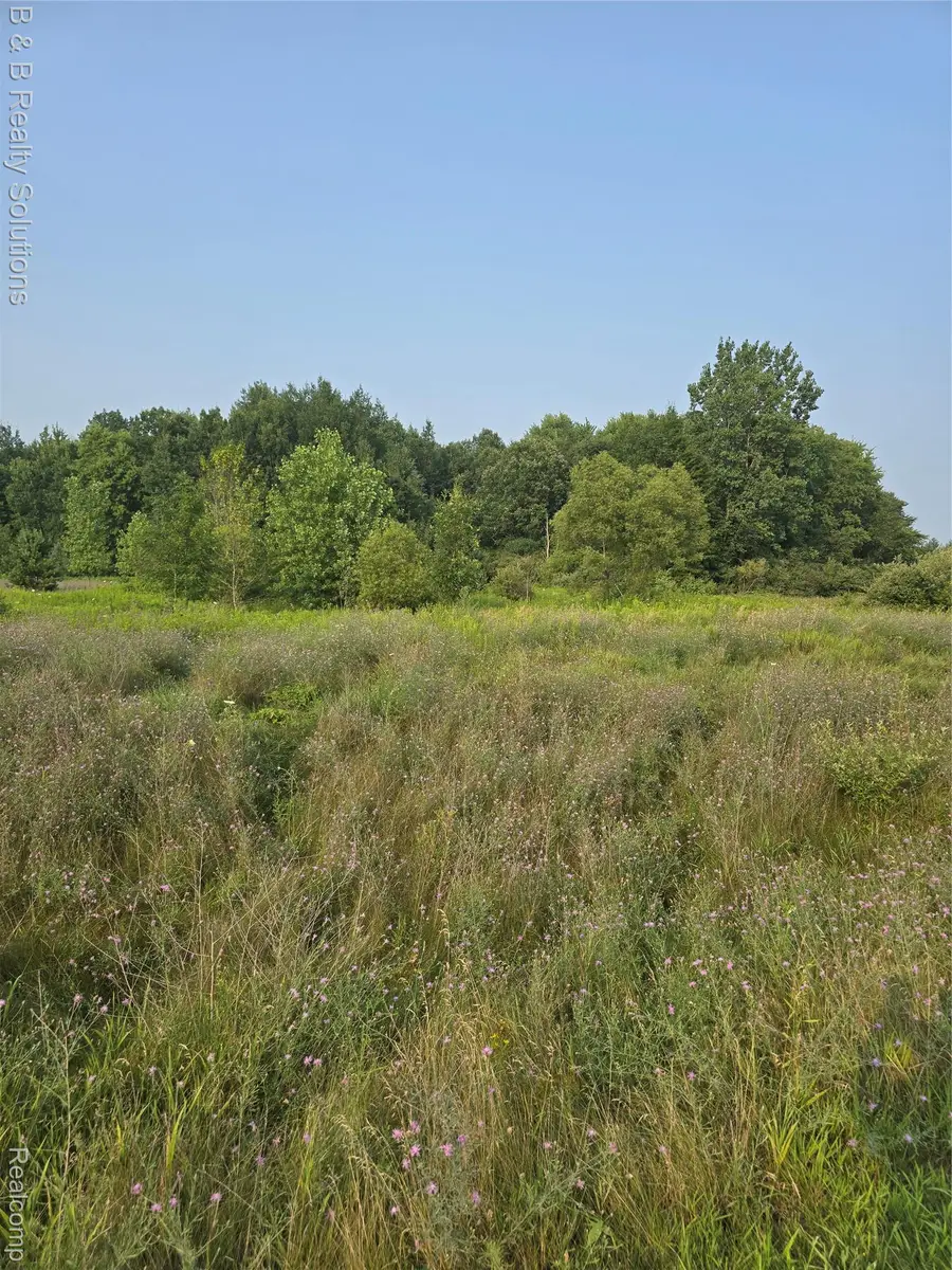 6518 Folsom Lane, Marathon, MI 48464 - Image #3