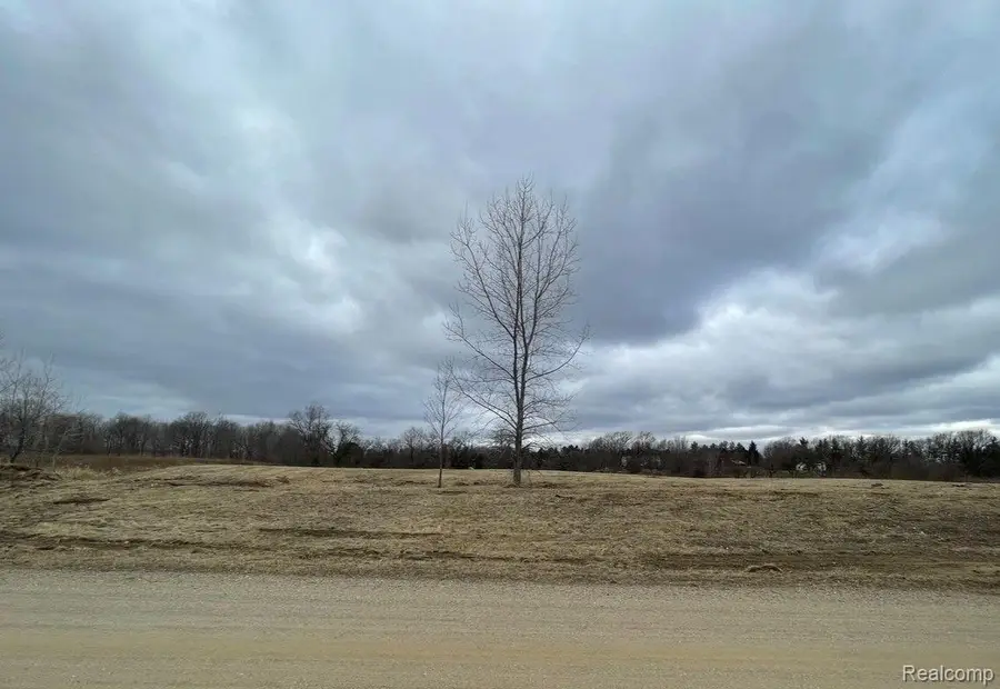Parcel 3 S Creek Ln, Dryden, MI 48428 - Image #2