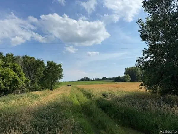 00 Murphy Lake, Silverwood, MI 48760