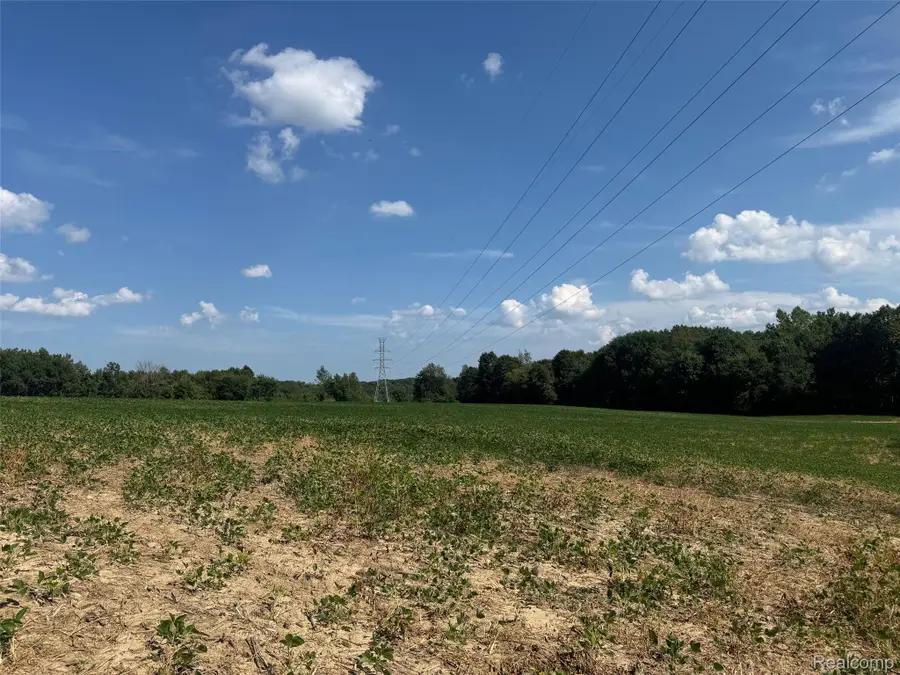 VL S Mill Road, Dryden, MI 48428 - Image #2