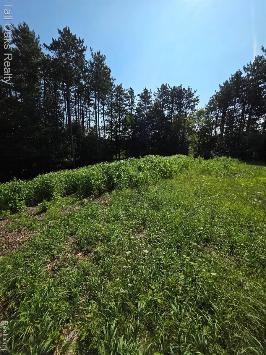 1441 Candace Drive, Lapeer, MI 48446 - Image #2