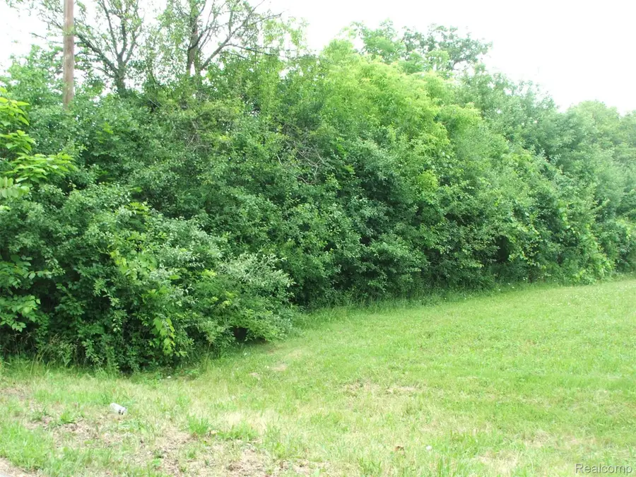 0000 Harvard Street, Beecher, MI 48458 - Image #2
