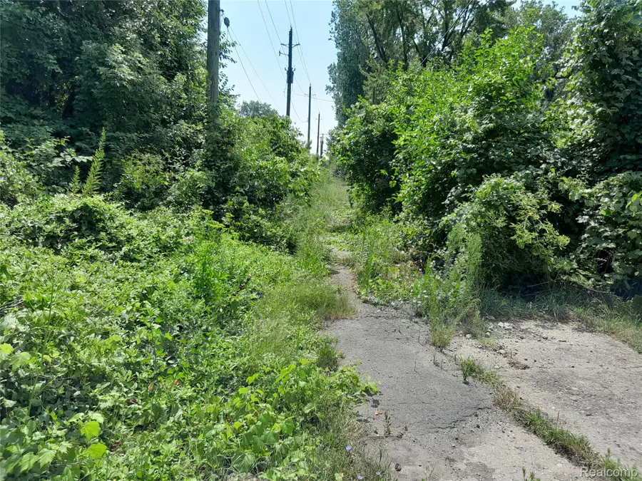 534 Bellevue Street, Detroit, MI 48207 - Image #3