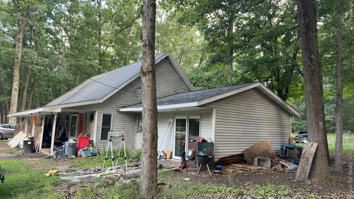 161 N Jackpine Road, Branch, MI 49410 - Image #1