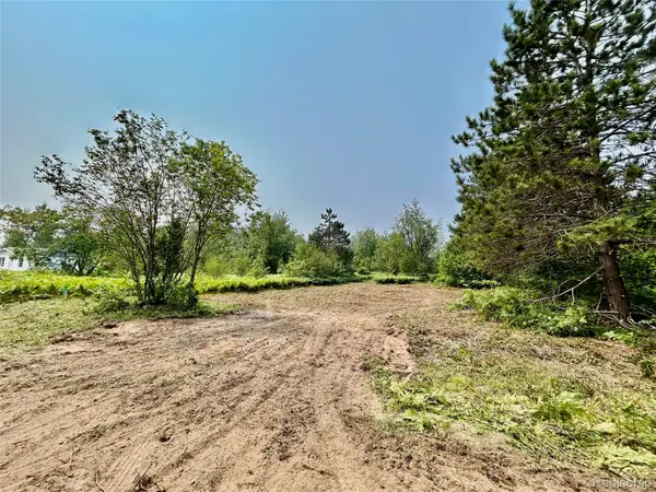 6658 Brookfield Court, Elmira, MI 49730