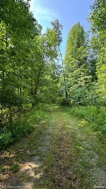 0000 Vik-mar Lane, Attica, MI 48412 - #2