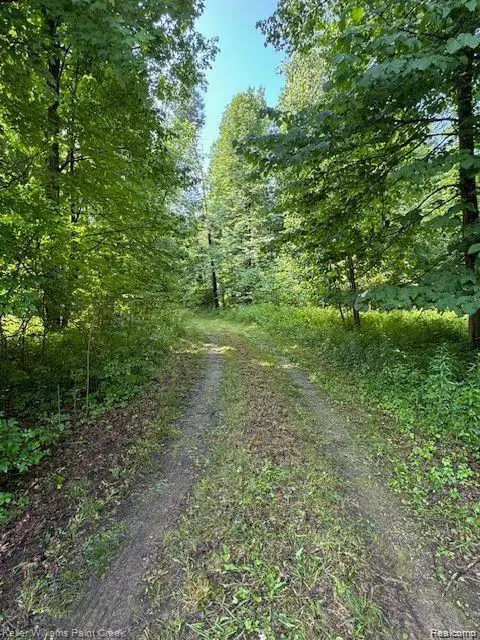 0000 Vik-mar Lane, Attica, MI 48412 - #3