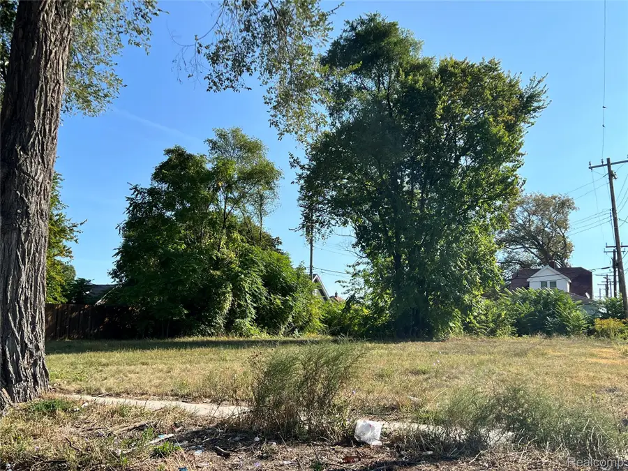 12834 Dwyer Street, Detroit, MI 48212 - Image #2