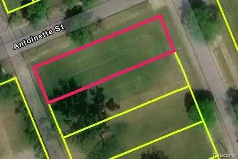 5767 Wabash Street, Detroit, MI 48208 - Image #3