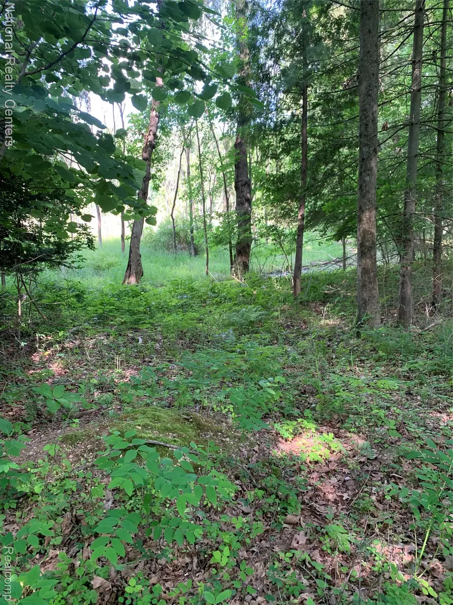 8655 Buckland Drive, Northfield, MI 48178 - Image #3