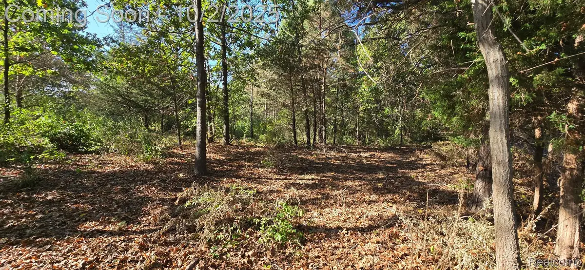 0 Hinchey Road, Pinckney, MI 48169 - Image #1