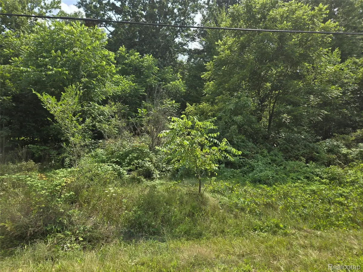 V/L Field Road, Clio, MI 48420 - Image #1