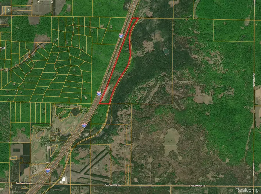 0 E Alexander Road, Vanderbilt, MI 49795 - Image #2