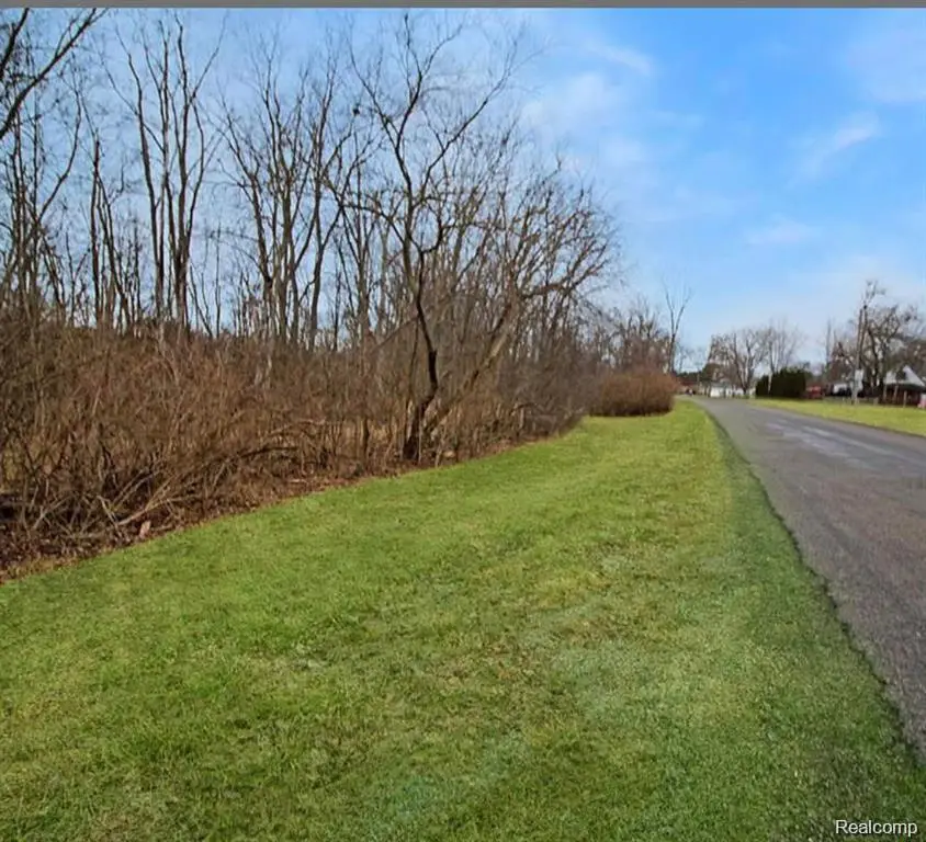 0 Woodruff Rd Road N, Flat Rock, MI 48134 - Image #2