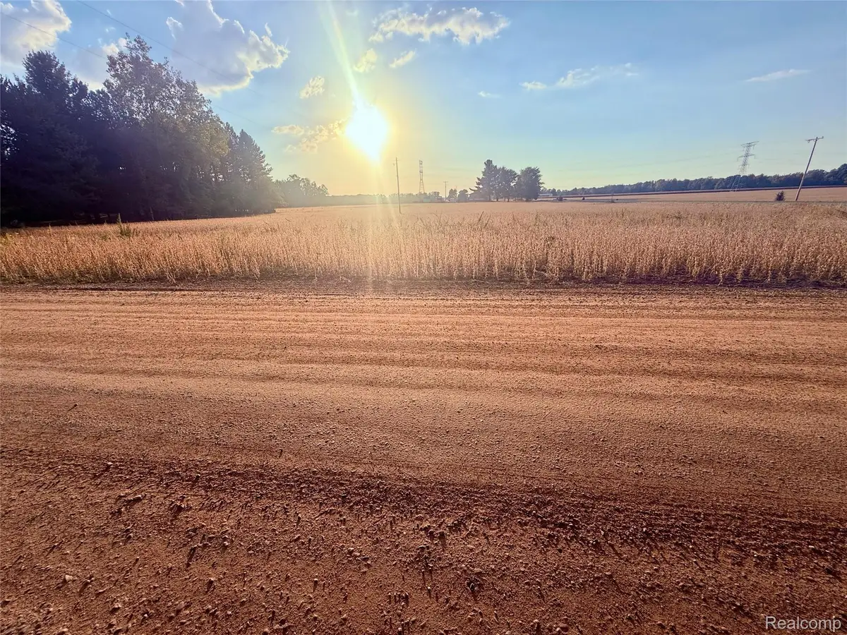 00 Raucholz Road, Chesaning, MI 48616 - Image #1