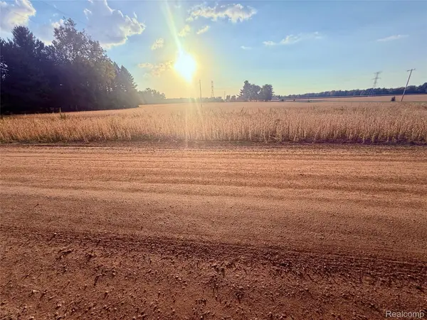 00 Raucholz Road, Chesaning, MI 48616