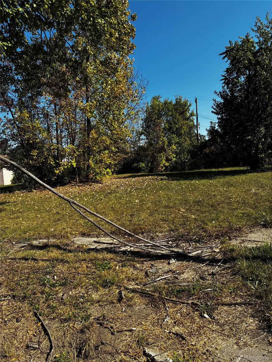 19436 Troy Pl Place, Detroit, MI 48203 - #1