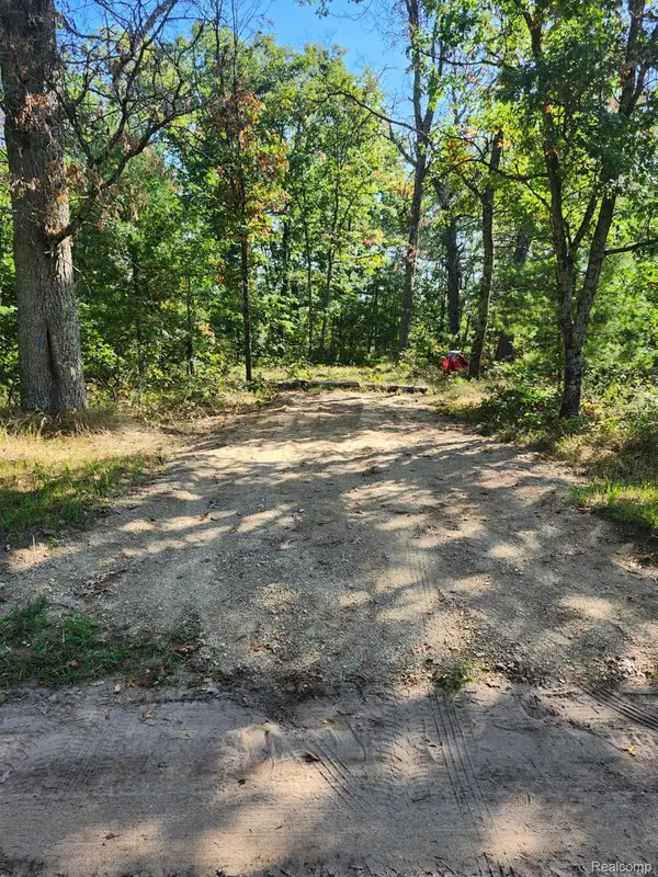 00 Yale Avenue, Baldwin, MI 49304