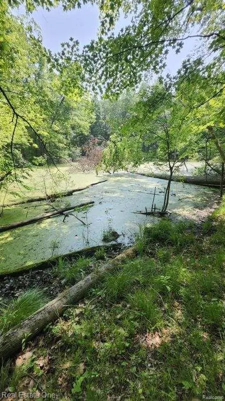 0000 Curtis Rd Curtis Rd, Addison Township, MI 48367 - Image #3