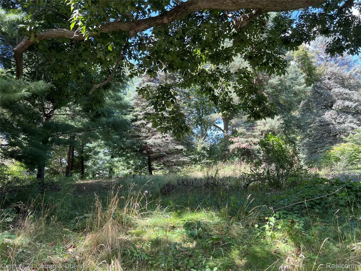 24917 Martindale Road, Lyon, MI 48178 - Image #1