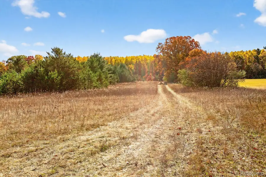 17760 Flarity Road, Brethren, MI 49619 - Image #3