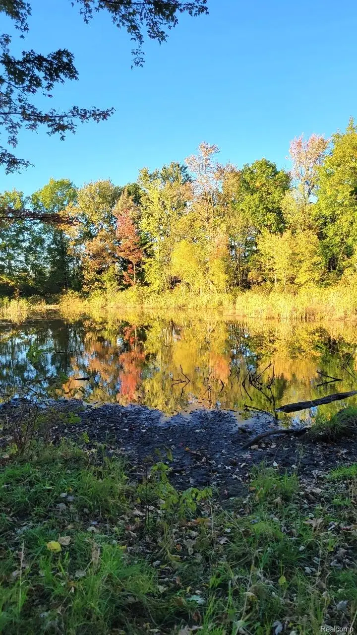 0 Rochester Road, Dryden, MI 48428 - Image #1