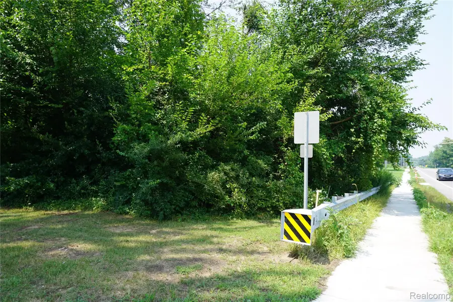 Vacant Wayne Road, Romulus, MI 48174 - Image #2