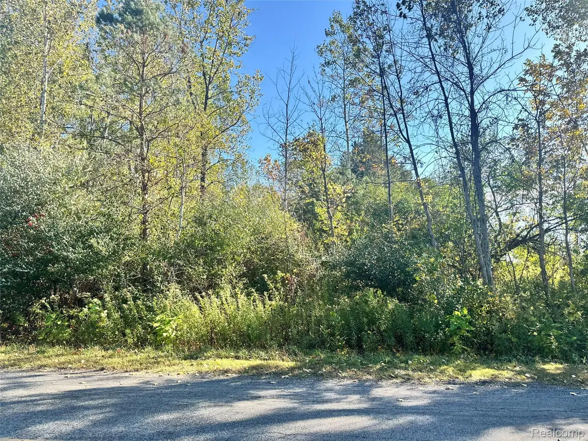 0 S 11 Mile Road, Linwood, MI 48634 - Image #1
